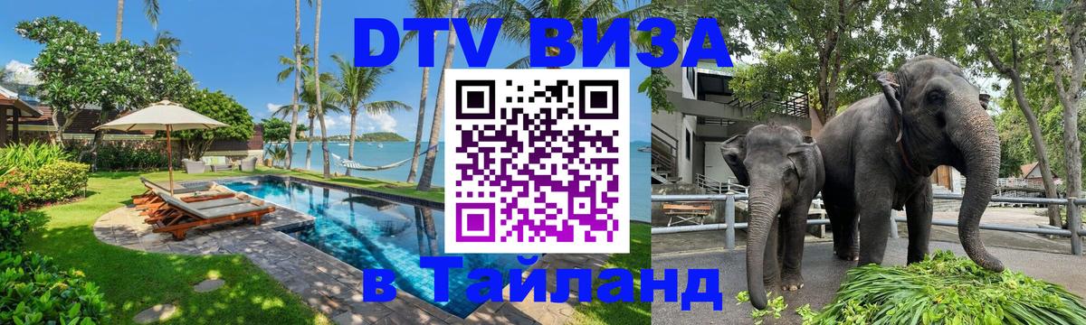 Оформление DTV визы под ключ: стоимость и тарифы, только загранпаспорт - Махачкала  20.11.2025 